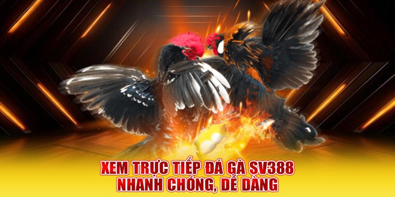 Xem trực tiếp đá gà SV388 nhanh chóng, dễ dàng